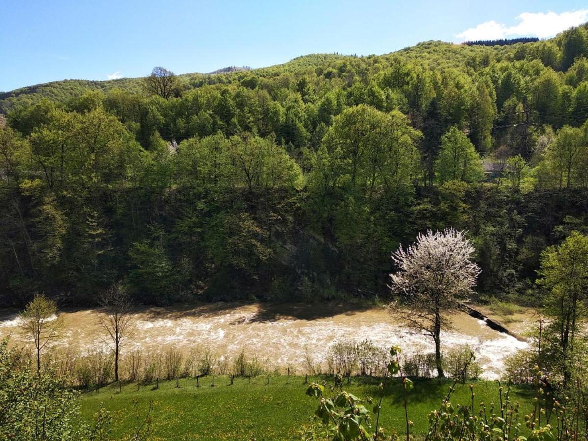 Акорди Плеса Yaremche Exterior foto